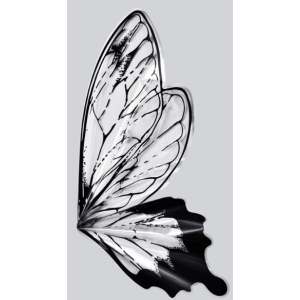 Butterfly Wrapping Paper | 20 Sheets